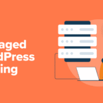 best wordpress hosting provider