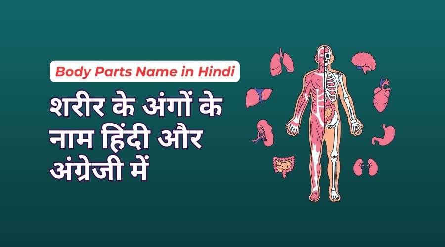 Body Parts Name in Hindi and English