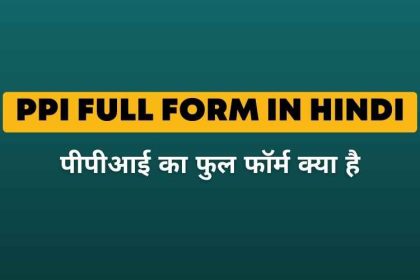 PPI Full Form in Hindi