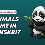 animals name in sanskrit with pictures