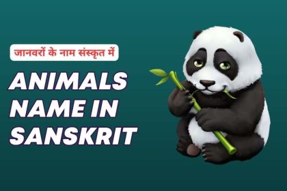 animals name in sanskrit with pictures