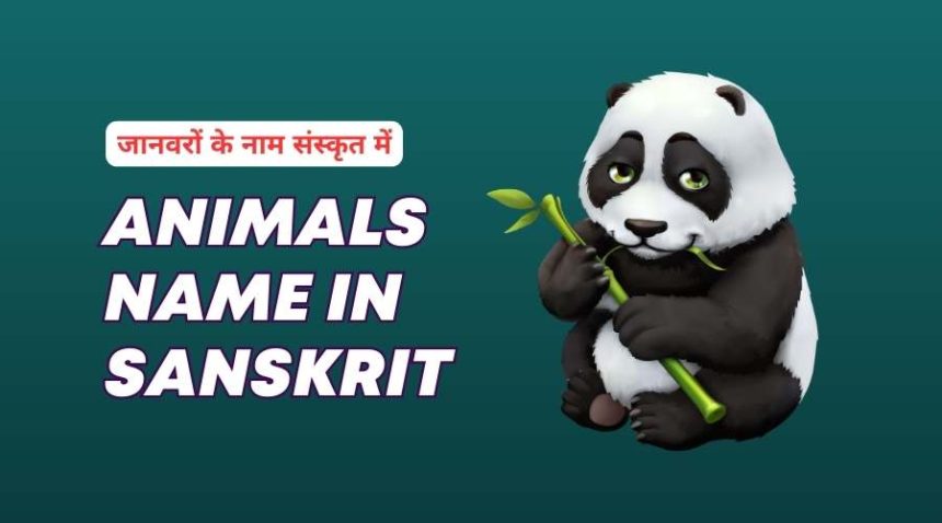 animals name in sanskrit with pictures