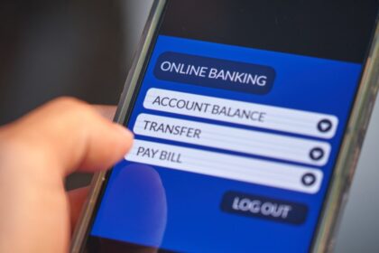 PNB balance check online