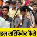 domicile certificate in hindi