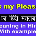 My Pleasure Meaning in Hindi