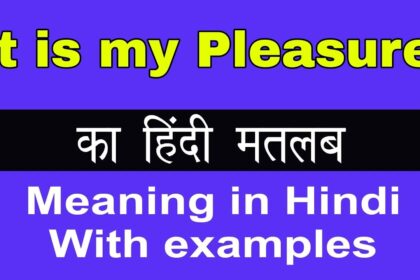 My Pleasure Meaning in Hindi