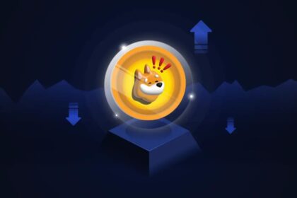 Bonk Coin Price Prediction