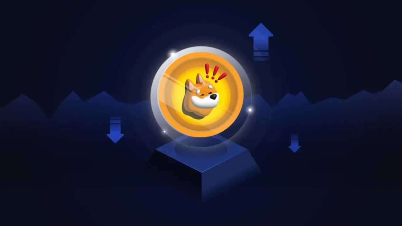 Bonk Coin Price Prediction 2026, 2030: Will BONK Coin Reach $1